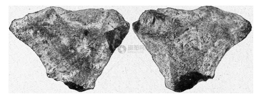 卢德斯多夫的叶子前方和后古老的雕刻图解190年来自宇宙和人类图片