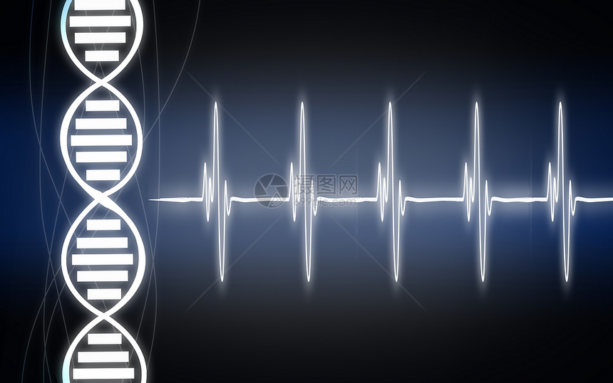 心跳动脏图配有DNA直线3D投影图片