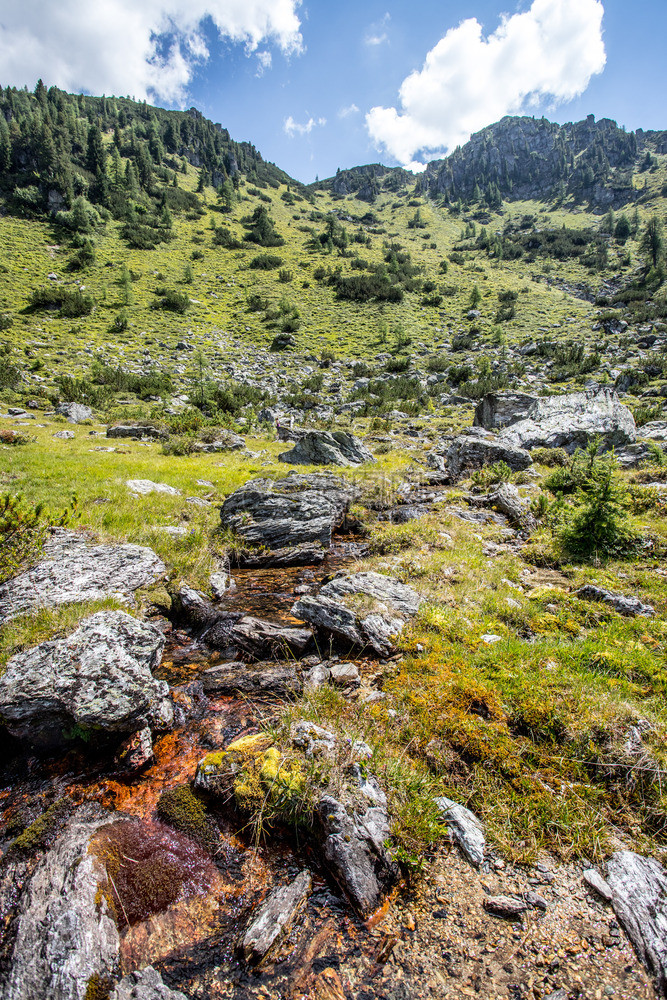 阿尔卑斯山的小溪流图片