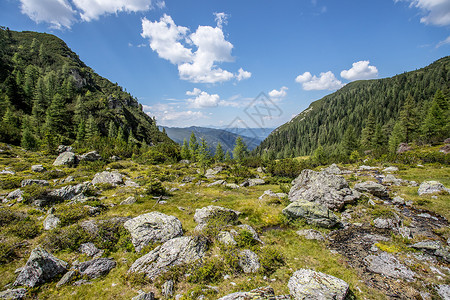 阿尔卑斯山的古景观岩石草地树木山岳和蓝天空的美丽景色图片