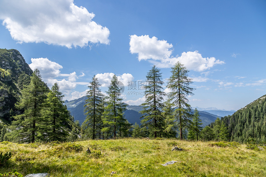 阿尔卑斯山景观草地森林山区和蓝天图片
