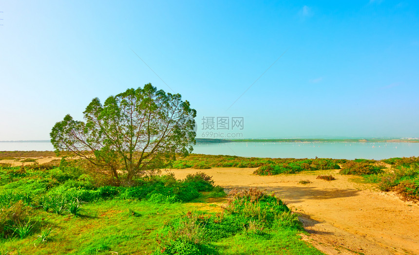 塞浦路斯拉纳卡盐湖风景图片