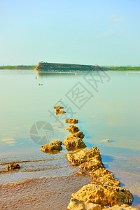 塞浦路斯拉纳卡附近盐湖风景图片
