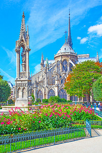 法国阳光明媚的日子巴黎圣母院后花园和图片