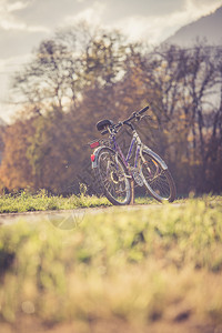 田地上的自行车背景图片