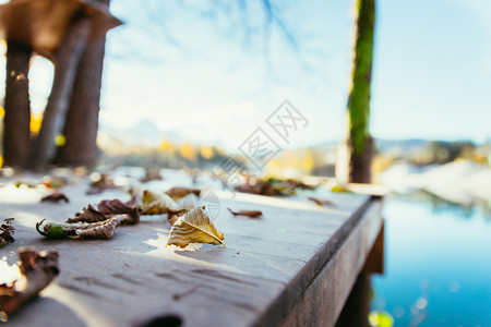 漂浮在脚桥上的多彩叶子模糊秋天背景色图片