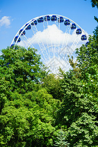 背着深蓝天空的高林树巨发风轮背景是蓝天旅游城市景点图片