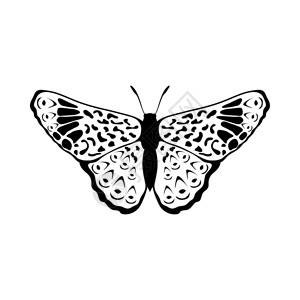蝴蝶的图样大纲设计矢量说明背景