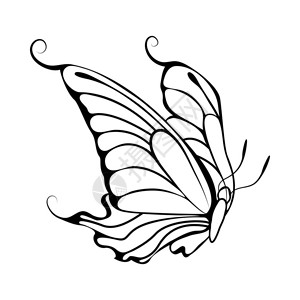 纹身黑白素材蝴蝶的图样大纲设计矢量说明背景