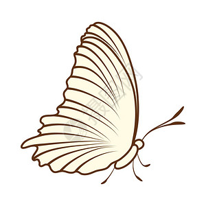 蝴蝶的图样棕线彩色设计矢量说明图片