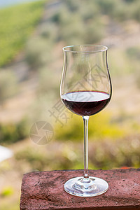 在意大利托斯卡尼喝杯红葡萄酒背景里有白葡萄酒场图片
