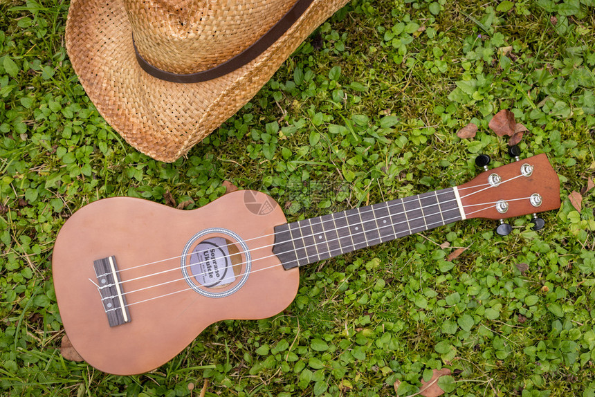 Ukulele和草帽躺在绿色地上模糊的公园区在背景中图片