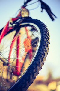 山地自行车轮胎的近照夏日在模糊的背景下骑车图片