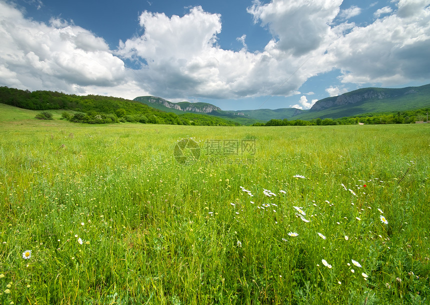 山上的绿草地自然构成图片