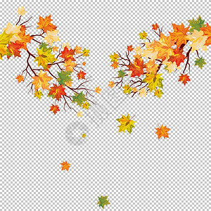 秋叶的树矢量图解图片