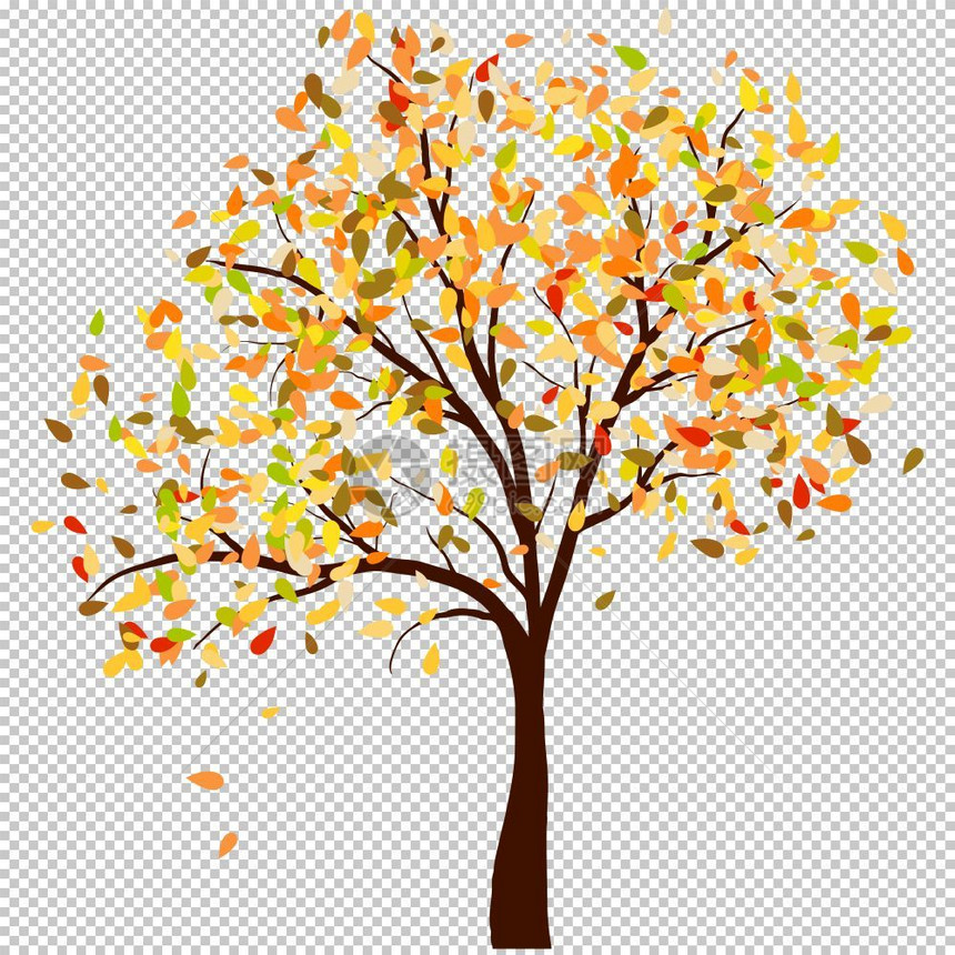 秋叶树背景矢量插图图片