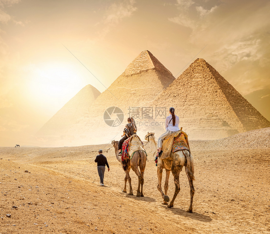 埃及的骆驼车队和吉萨金字塔图片