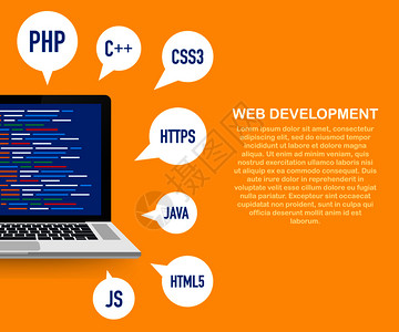 编程网络开发概念笔记本电脑屏幕代码矢量库存图解图片