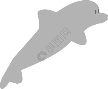 灰色海豚灰色矢量海豚插画