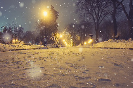 冬季城市公园夜景图片