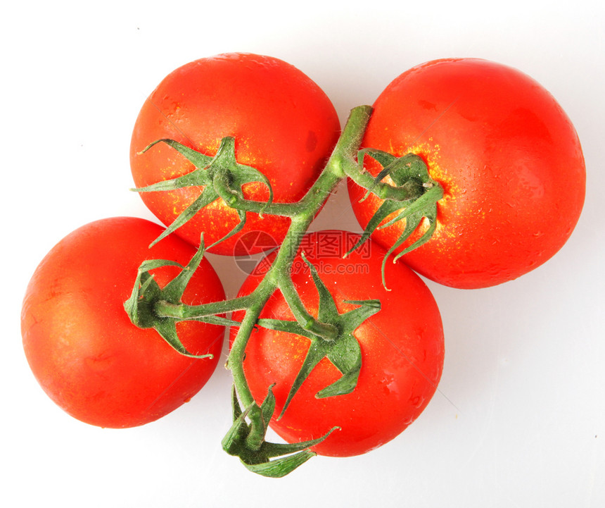 白色背景上的红番茄贴近图片