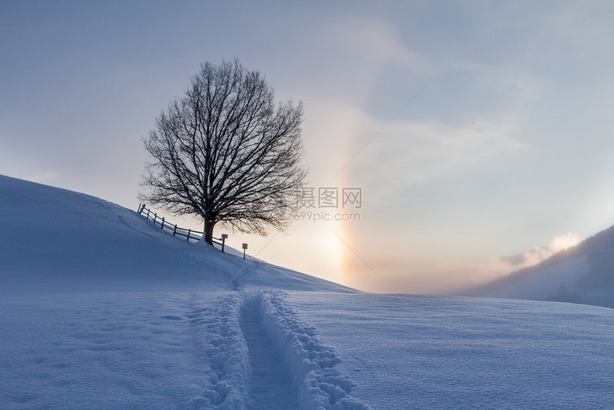 清晨冬季风景日出和光环现象图片