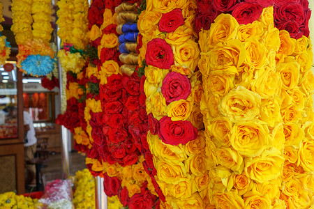 黄色凌霄花花环在小印度新加坡礼拜神的园地背景