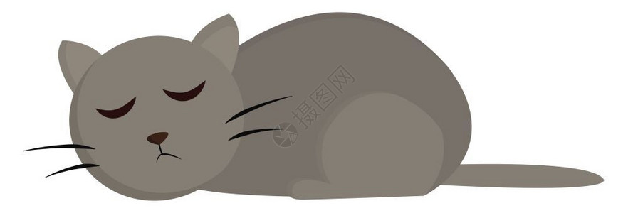 灰色的可爱肥猫即睡眠矢量彩色绘画或插图图片