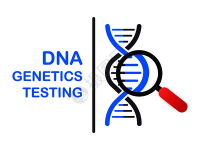 DNA测试遗传诊断概念工程可用于网络标语脱氧核糖酸病媒库存图解插画