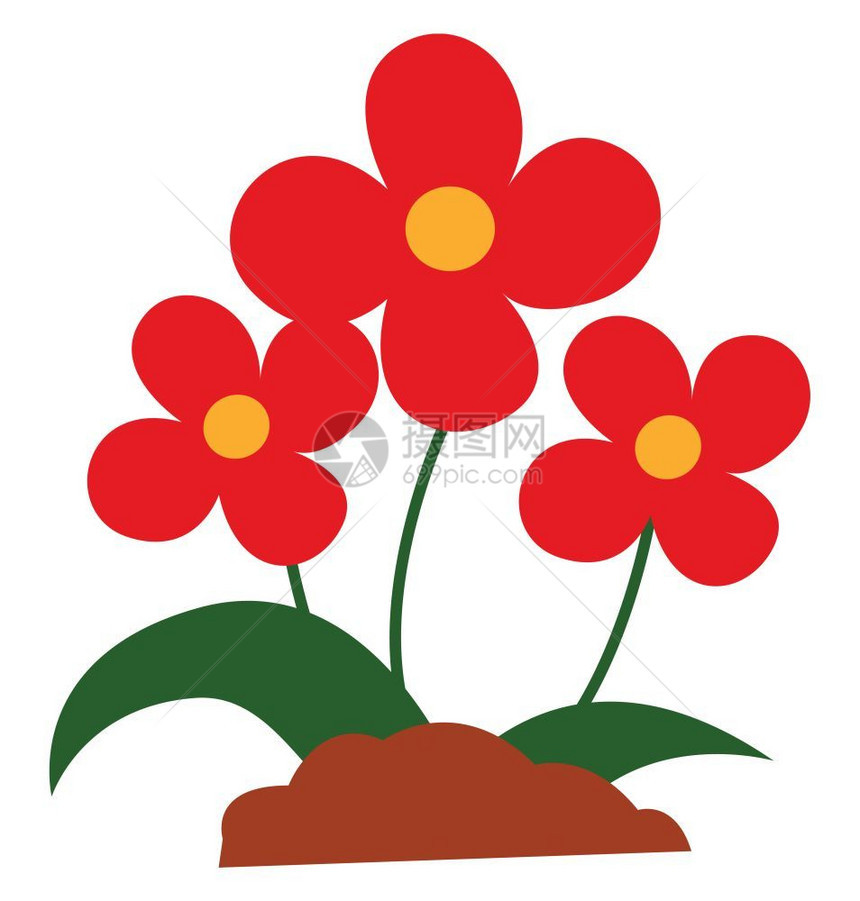 一束红色美丽的花朵配有叶矢量颜色图画或插图片