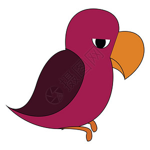 紫色鹦鹉对其它矢量颜色绘画或插图感到悲伤和愤怒图片