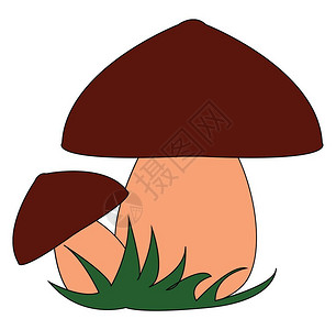 卡通蘑菇矢量插图图片