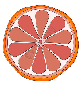 对半切有橙皮和粉红色纸浆向量彩色图画或插的半切葡萄精插画