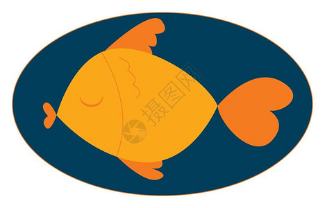 橙色的鱼背景图片