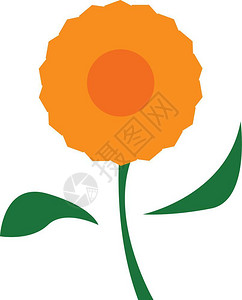 卡通矢量美丽的橙色花朵图片