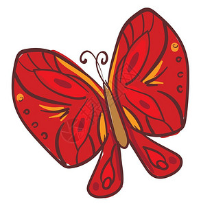 一只蝴蝶的滑板两对大蝴蝶通常是亮的红色翅膀上面覆盖有不同形态的微缩尺度有不同形态的矢量颜色图或插背景图片