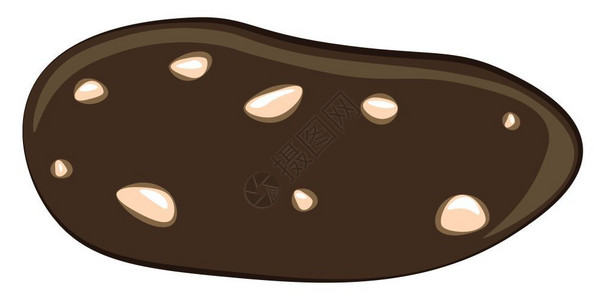 自制蛋糕一个美味的巧克力饼干矢量彩色画或插图插画