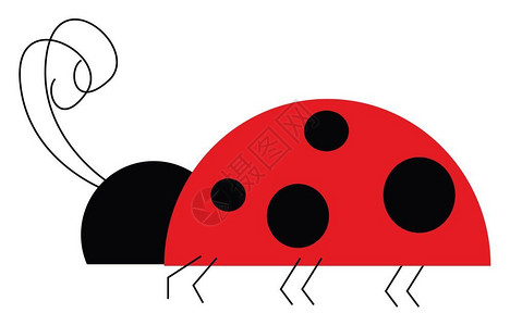 有黑斑和六条腿矢量彩色绘画或插图的红色小虫插画