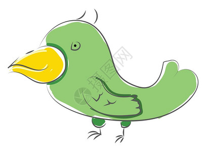 长的绿鸟黄嘴矢量彩色图画或插图片