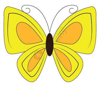 蝴蝶的滑板有两对大翅膀通常是黄色明亮的翅膀覆盖有不同形态矢量彩色绘画或插图的微缩尺度背景图片