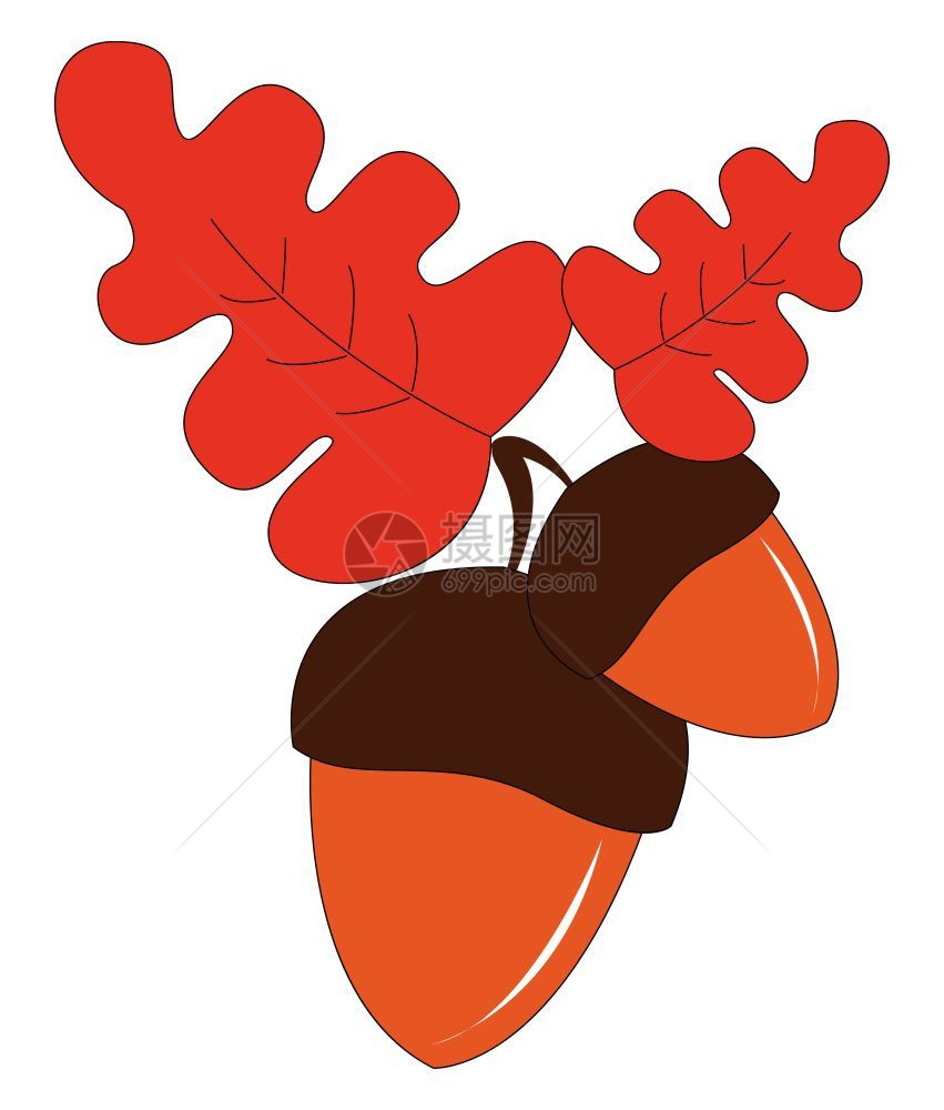 一对橙色橡果顶有棕色杯子和两张红叶矢量彩色图或插图片