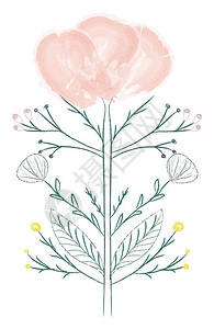 在干矢量彩色绘画或插图上玫瑰色花朵上面有和和树状叶画或插图图片