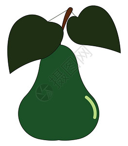 绿色梨子有两个大叶健康多汁的水果向量彩色绘画或插图背景图片
