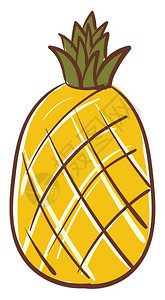 黄色菠萝短厚有绿色冠矢量彩图画或插图片