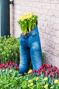 配牛仔裤锅的现代花园设计图片