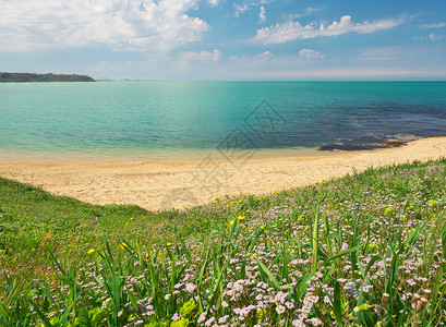 海边草海边的春天岸空洋绿草自然构成背景