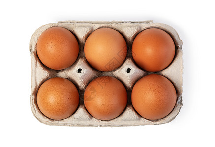 我要打十个纸箱中十个鸡蛋白底孤立棕色鸡蛋背景