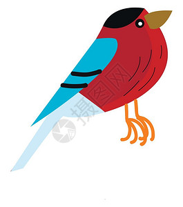 卡通可爱彩色的小鸟矢量插图图片