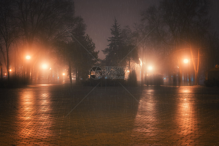 福吉和雨之夜在城市公园图片