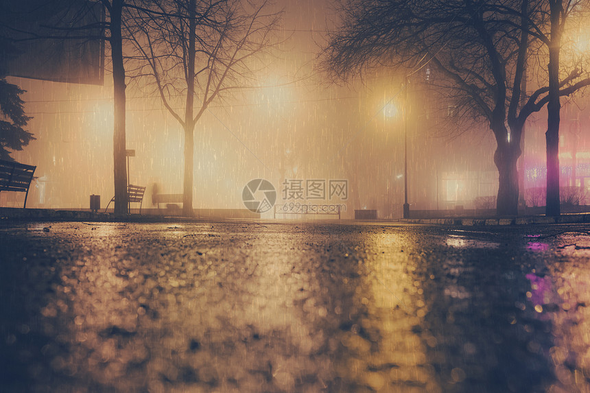 福吉和雨之夜在城市公园图片